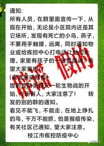 辟谣！枝江没有网传的“猴痘”疫情，请市民放心