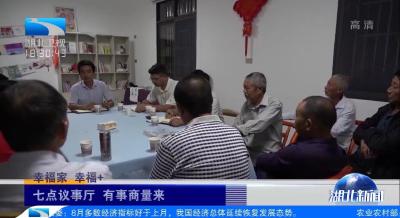 【湖北新闻】幸福家 幸福+ | 枝江双湖村：七点议事厅 有事商量来