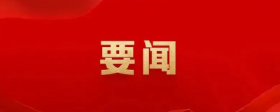 习近平参加党的二十大广西代表团讨论