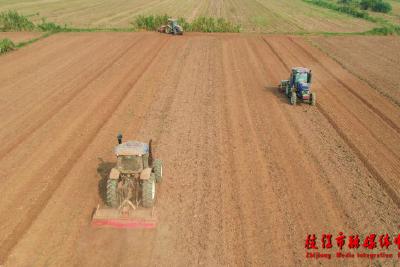 防虫稳粮守底线 夯实粮食安全根基