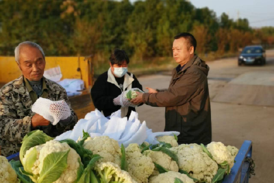 用心用情助农 市科协联系科普示范企业义购蔬菜