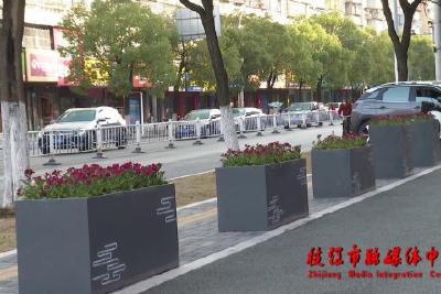 枝江：花箱装点街道 让城市更添“色彩”