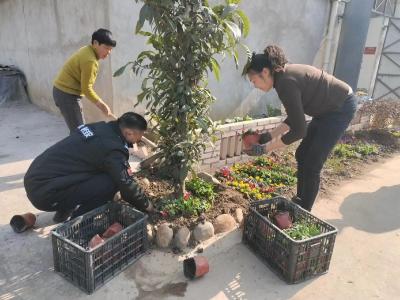 兴隆山村：6000余钵鲜花扮靓美丽乡村 