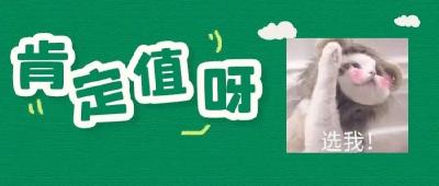 老铁，咱们的感情值这一票吧？