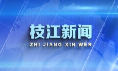 整组|2023年5月15日枝江新闻