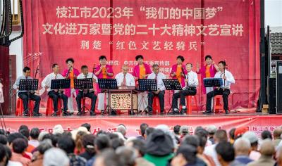 【湖北日报】枝江“五路大军“进山村