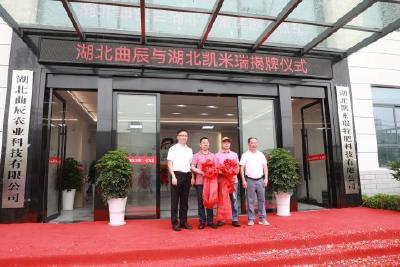 问安镇招商引资企业落地姚家港化工园
