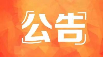枝江市政务服务“一事联办”项目竞争性磋商公告