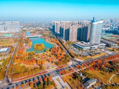 【学习强国】湖北枝江：邂逅冬日浪漫 打卡冬日美景