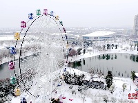 图集 | 瑞雪中的大美枝江