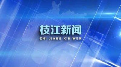 V视 |2024年二季度宜昌市重大项目集中开工活动在枝江举行