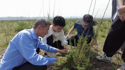 寻访关洲 赏疏花水柏枝