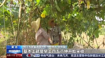 【新闻直播间】关注蔬菜价格上涨 预冷储藏运输 确保蔬菜新鲜供应
