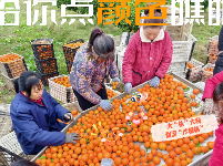 图集 | 湖北枝江：给你点“颜色”瞧瞧