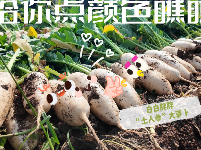 图集 | 湖北枝江：给你点“颜色”瞧瞧