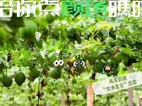 图集 | 湖北枝江：给你点“颜色”瞧瞧