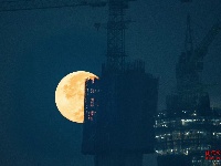 2024，“桥”见枝江