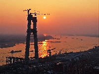 2024，“桥”见枝江