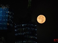 2024，“桥”见枝江