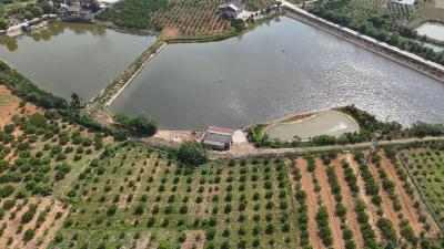一泓活水润沃野 “共享水井”模式再显成效