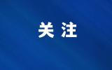 【长江新闻】宜昌枝江：砂梨穿“新衣” 果农套袋忙