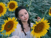 图集 | 湖北枝江：闯入梵高的调色盘！向日葵花季开启