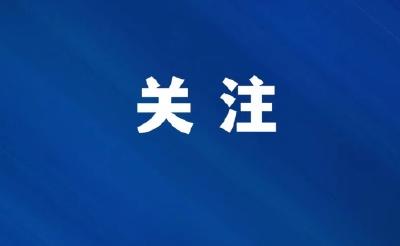 【磁湖聚焦——营商环境观察】失信“绊脚”物流企业之后