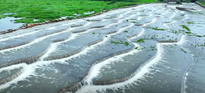 党群合力护龙鳞 清水绿岸践初心——徐家嘴村党员群众自发清理龙鳞坝迎暑期