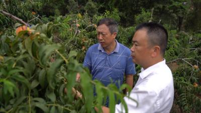 酵母变身营养肥 助力绿色农业发展