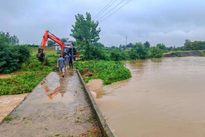 董市镇：干群合力打好防汛抢险战