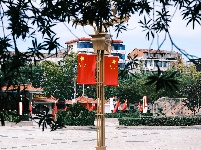 枝江：满城尽带“中国红”