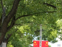 枝江：满城尽带“中国红”