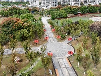 枝江：满城尽带“中国红”