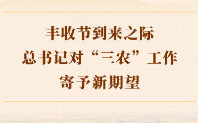 第一观察｜丰收节到来之际，总书记对“三农”工作寄予新期望