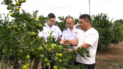 海通食品：合规经营成就“小巨人”企业“11连A”