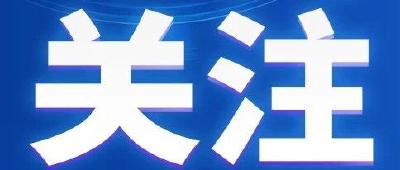 @枝江人，最高30万元扶持，已开始申报！