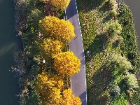 图集 | 枝江金湖，等你来“追鸟”！