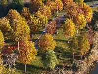 图集 | 枝江金湖，等你来“追鸟”！