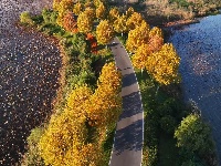 图集 | 枝江金湖，等你来“追鸟”！