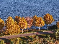 图集 | 枝江金湖，等你来“追鸟”！