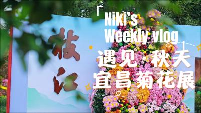 遇见·秋天 宜昌菊花展