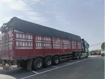 仙女镇张家湾村助农销橙促增收