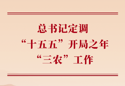 第一观察丨总书记定调“十五五”开局之年“三农”工作