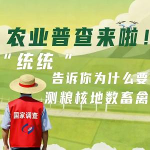 农业普查为何要测粮、核地、数畜禽？