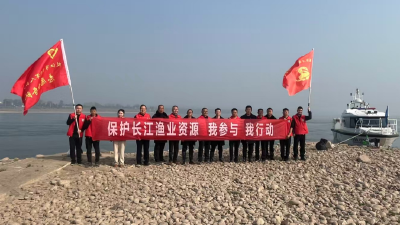 荆楚老兵守护长江 枝江退役军人争当“长江卫士”