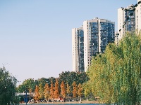 图集 | 枝江冬日限定美景 氛围感拉满