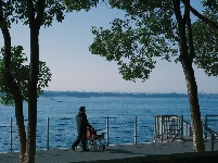 图集 | 枝江冬日限定美景 氛围感拉满