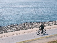 图集 | 枝江冬日限定美景 氛围感拉满