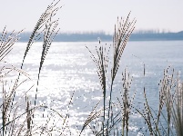 图集 | 枝江冬日限定美景 氛围感拉满