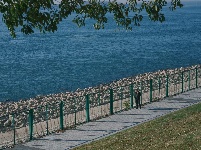 图集 | 枝江冬日限定美景 氛围感拉满